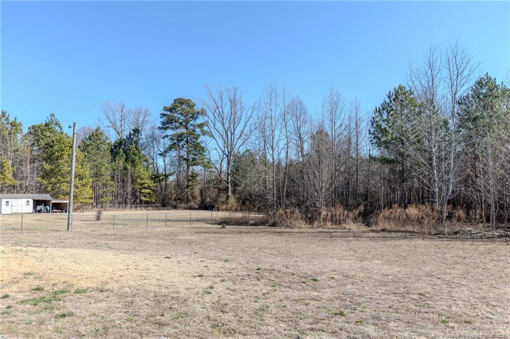 325 Ray Byrd Road Lillington, NC 27546 - Photo 24 of 26 a view of outdoor space with trees