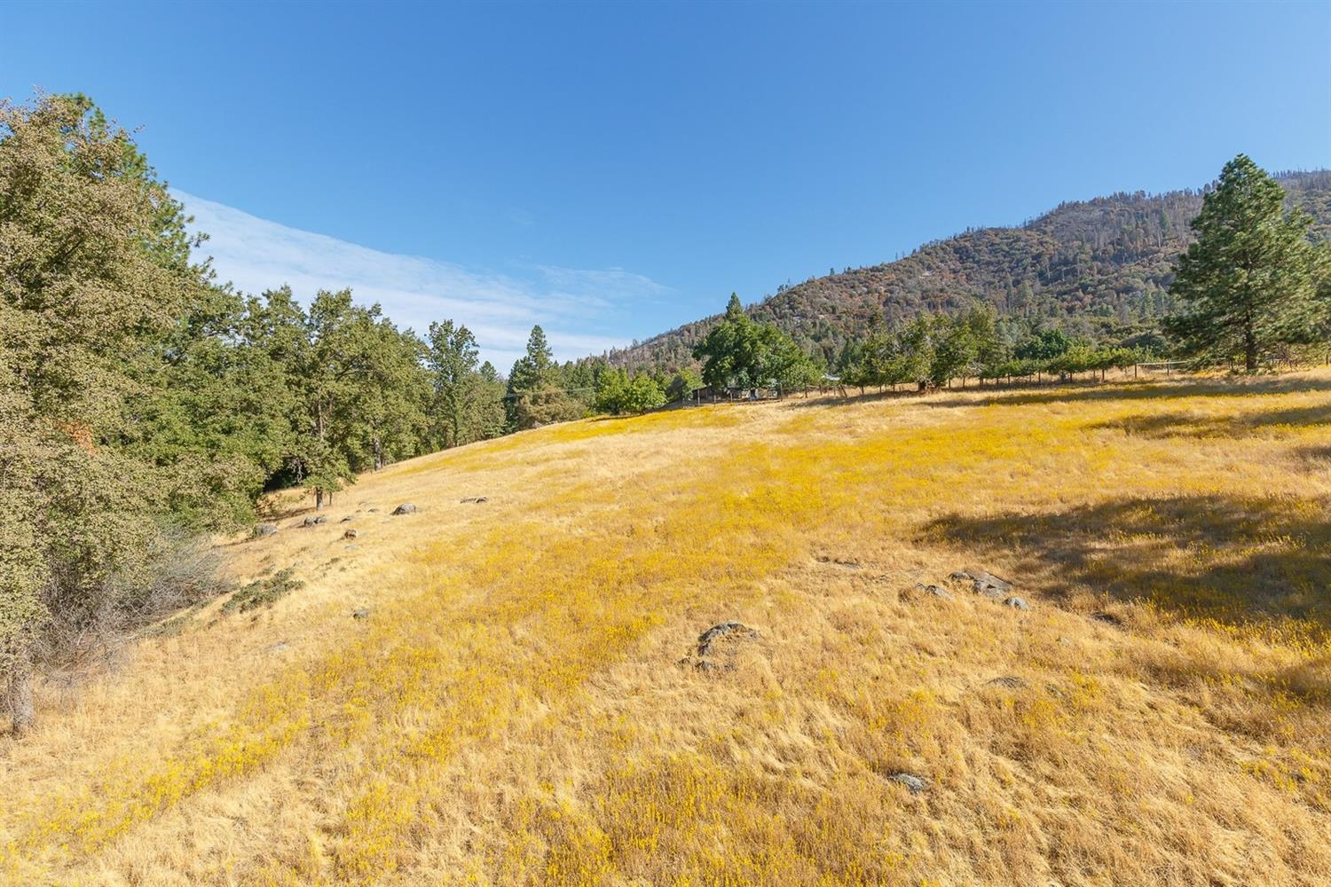 6155 Smither Road Mariposa, CA 95338 - Photo 50 of 78