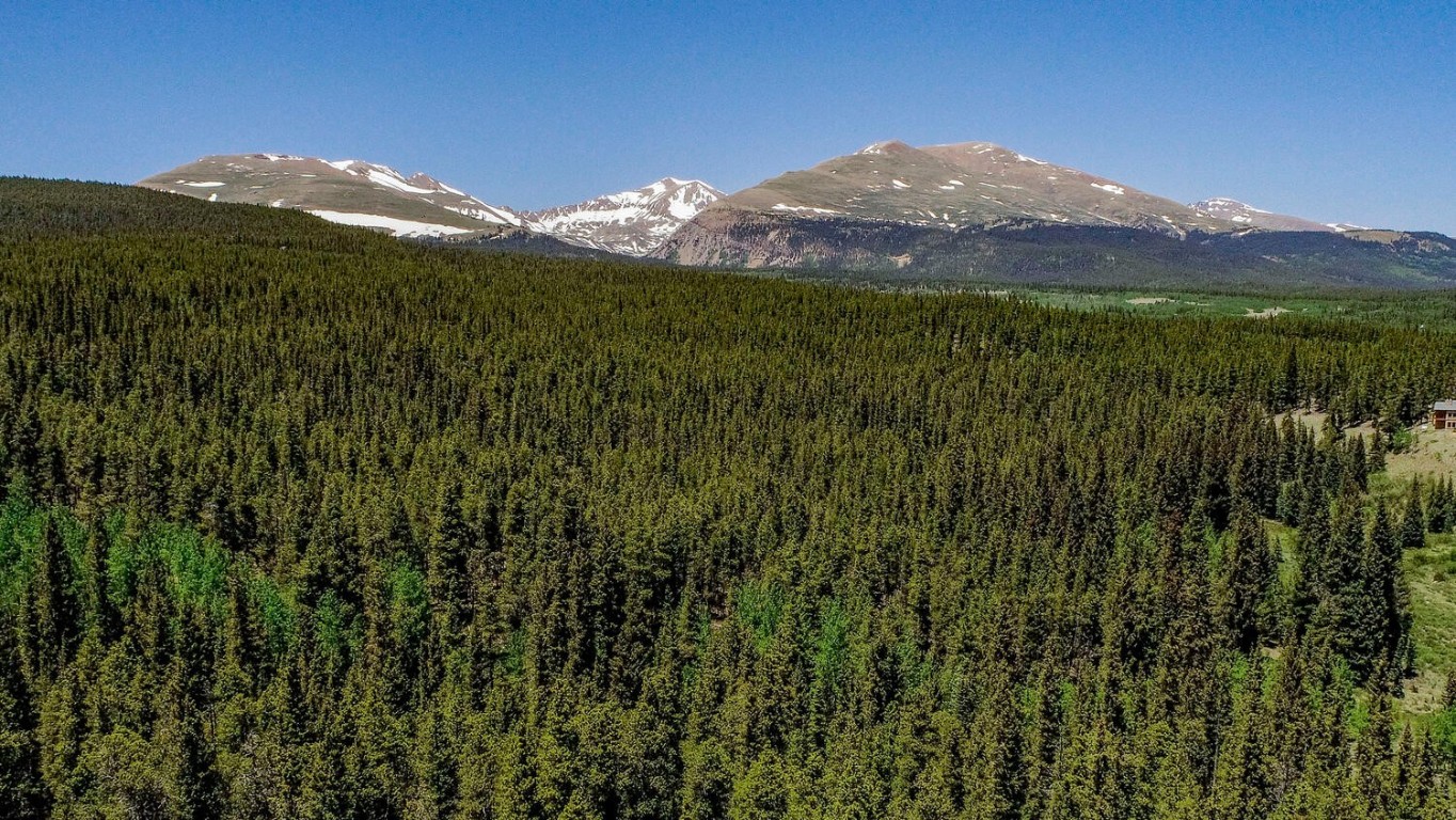 4100 County Road 1 Alma, CO 80420 - Photo 2 of 31