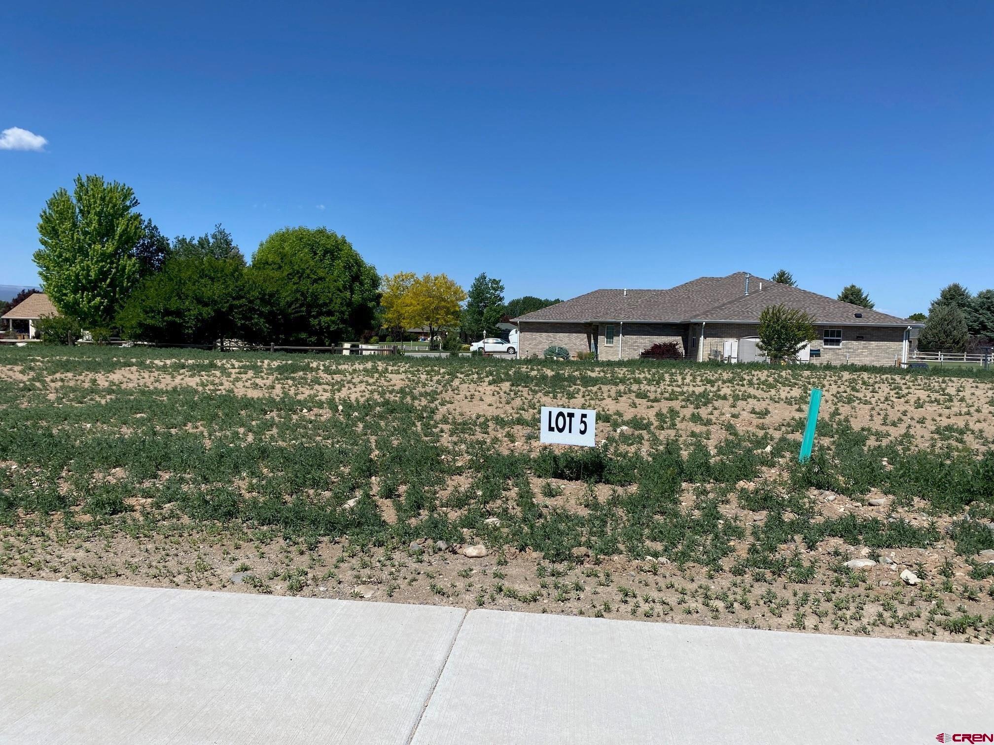 a view of a yard with wooden fence