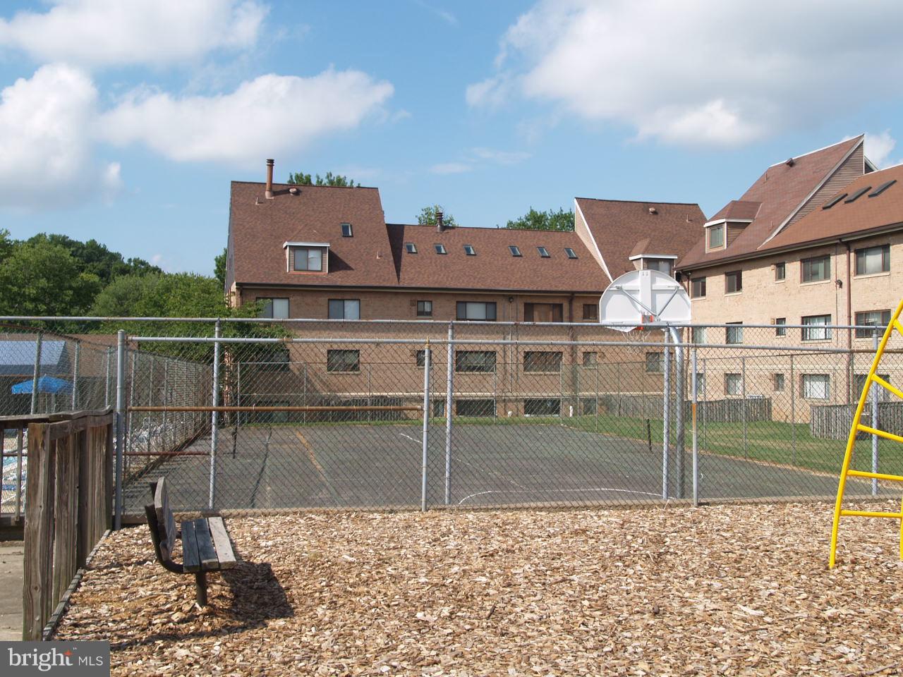 11607 Elkin Street, Unit 101 Silver Spring, MD 20902 - Photo 16 of 19 Basketball Court