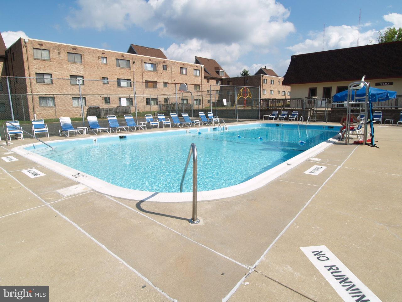 11607 Elkin Street, Unit 101 Silver Spring, MD 20902 - Photo 19 of 19 Outdoor Pool