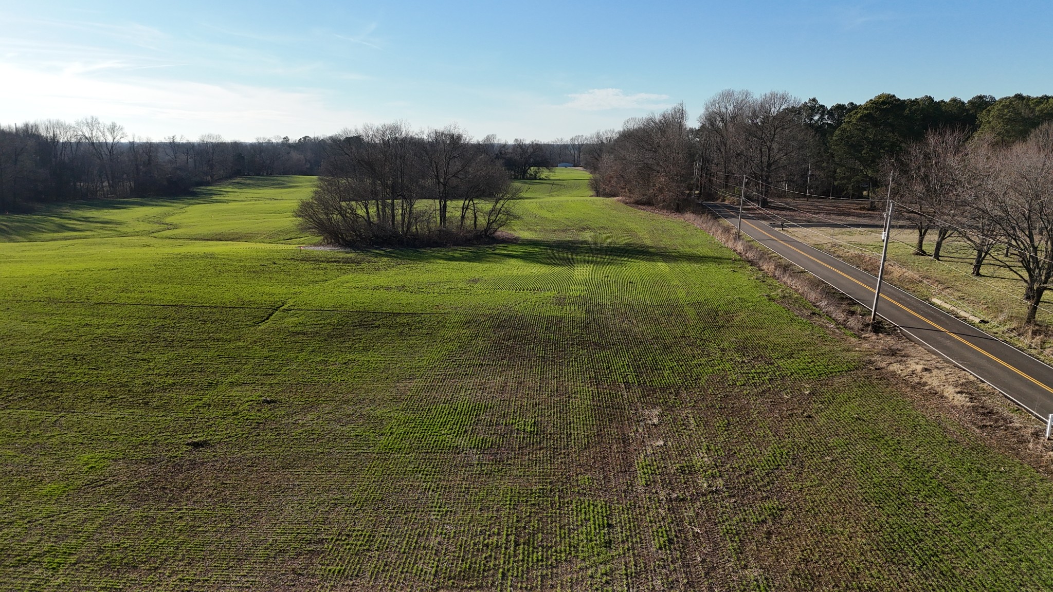 0 Chambers Road Millington, TN 38053 - Photo 7 of 11 a view of a back yard