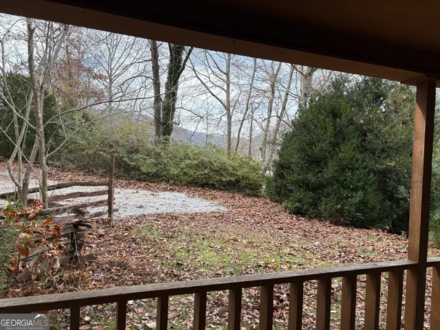 a view of a forest filled with trees