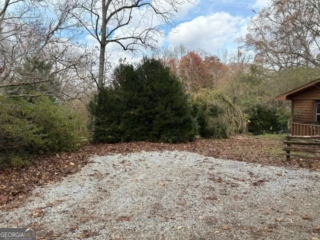 a view of a yard with a tree