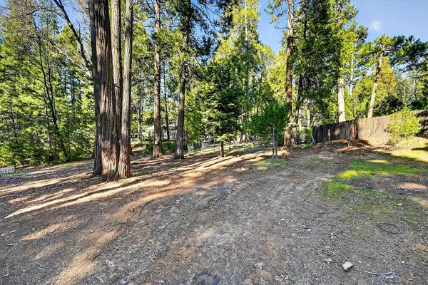 a backyard of a house with a trees