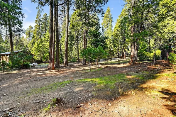 $149,900 | 26151 Buckhorn Ridge Road, Pioneer, CA 95666