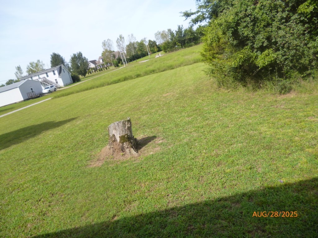 160 Haskins Chapel Road Lewisburg, TN 37091 - Photo 18 of 19 a lake view with beach and trees