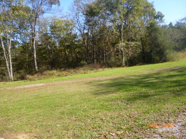160 Haskins Chapel Road Lewisburg, TN 37091 - Photo 7 of 19 a view of a tennis court