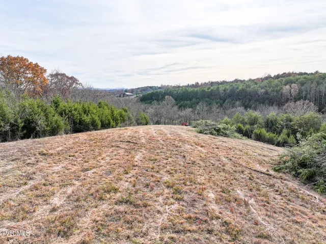 $65,000 | Lot 12 Dulaney Road, Unit 12, Greeneville, TN 37743