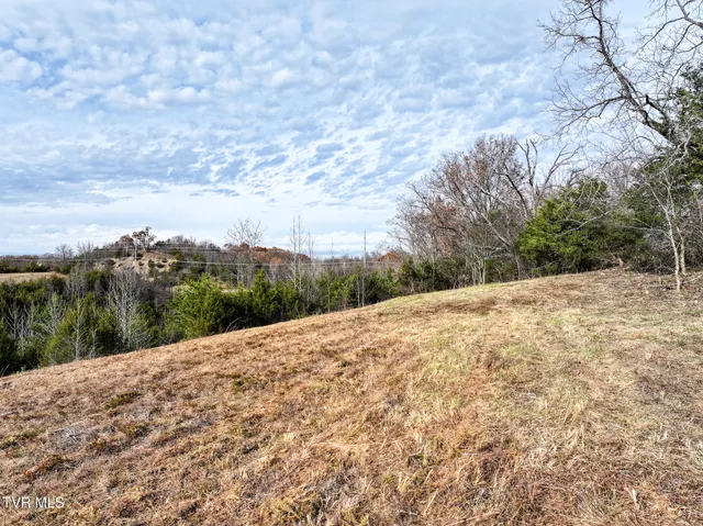 $65,000 | Lot 12 Dulaney Road, Unit 12, Greeneville, TN 37743