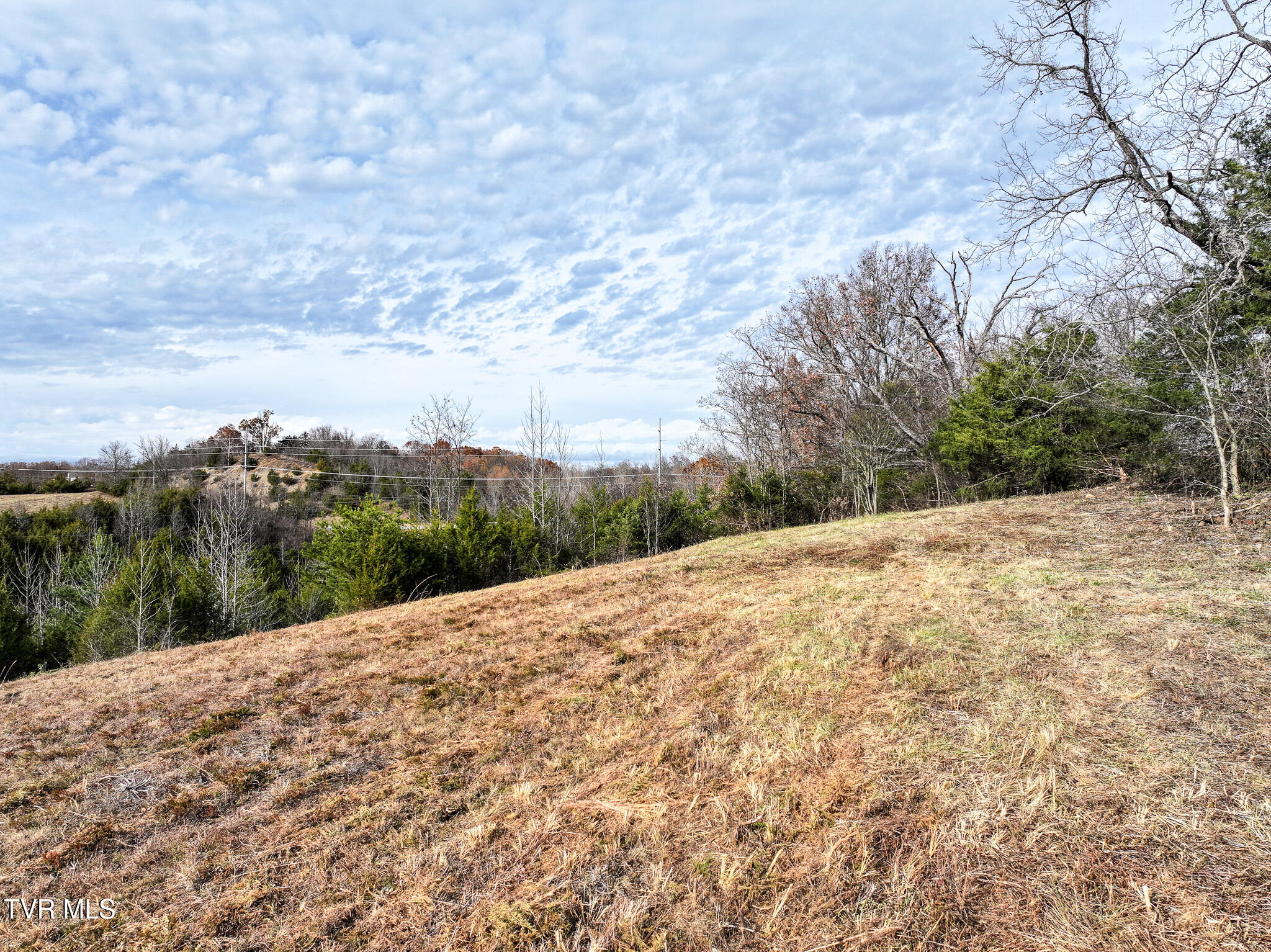 Lot 12 Dulaney Road, Unit 12 Greeneville, TN 37743 - Photo 20 of 20 DJI_20251116170654_0522_D
