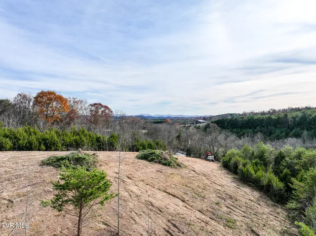$65,000 | Lot 12 Dulaney Road, Unit 12, Greeneville, TN 37743