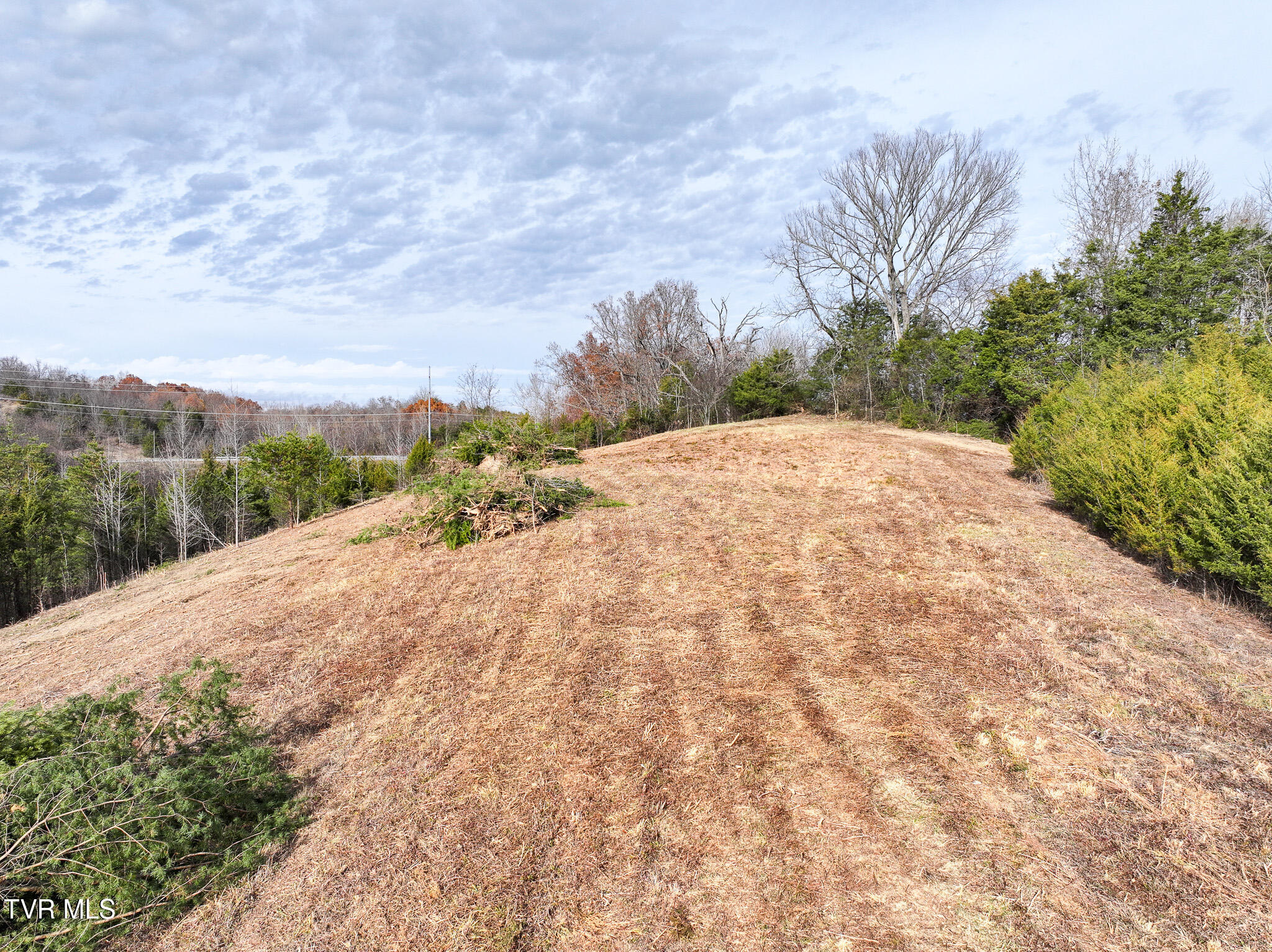 Lot 12 Dulaney Road, Unit 12 Greeneville, TN 37743 - Photo 7 of 20 8