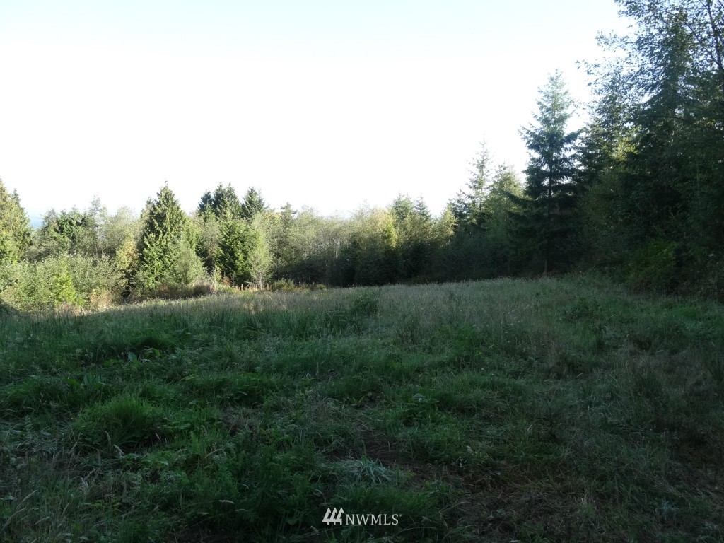 2231 Squalicum Mountain Road Bellingham, WA 98226 - Photo 4 of 16