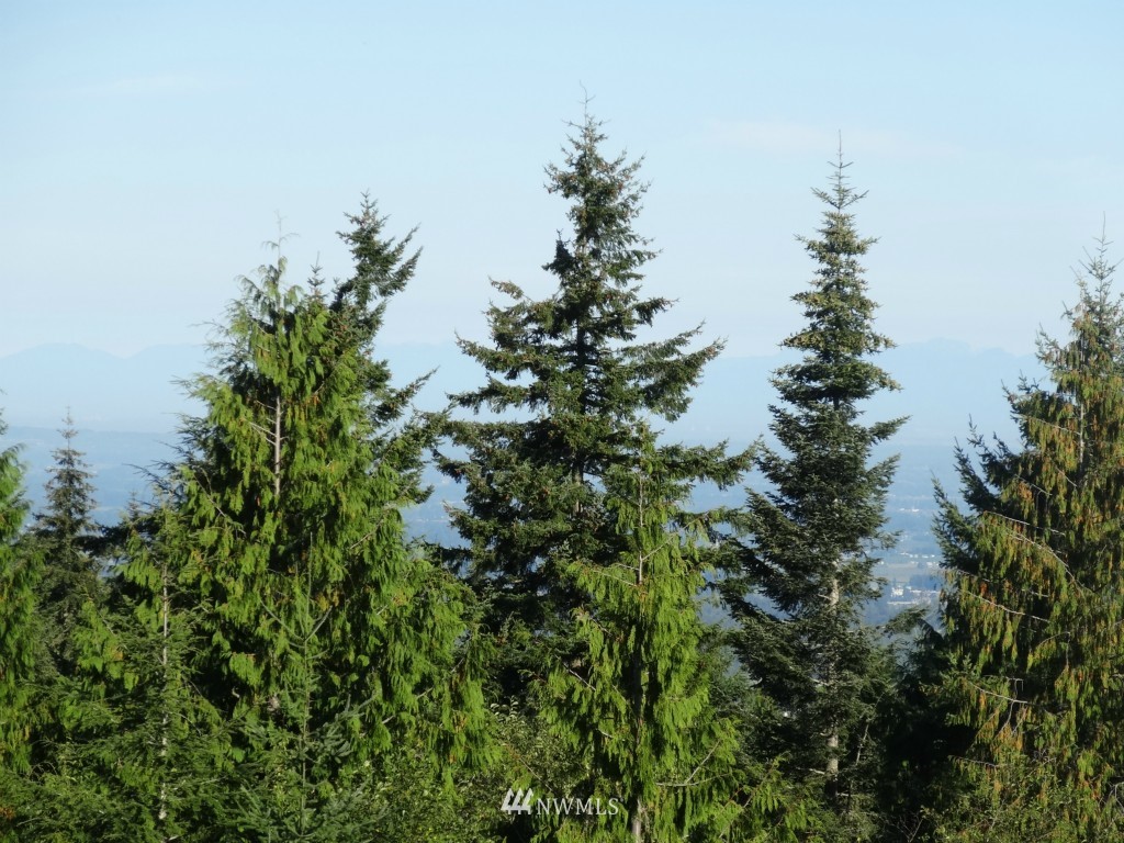 2231 Squalicum Mountain Road Bellingham, WA 98226 - Photo 5 of 16