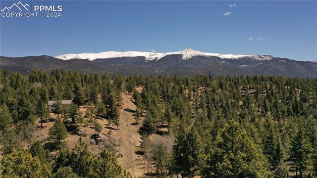 420 Homestead Road Divide, CO 80814 - Photo 2 of 34 Pikes Peak & Sentinel Point