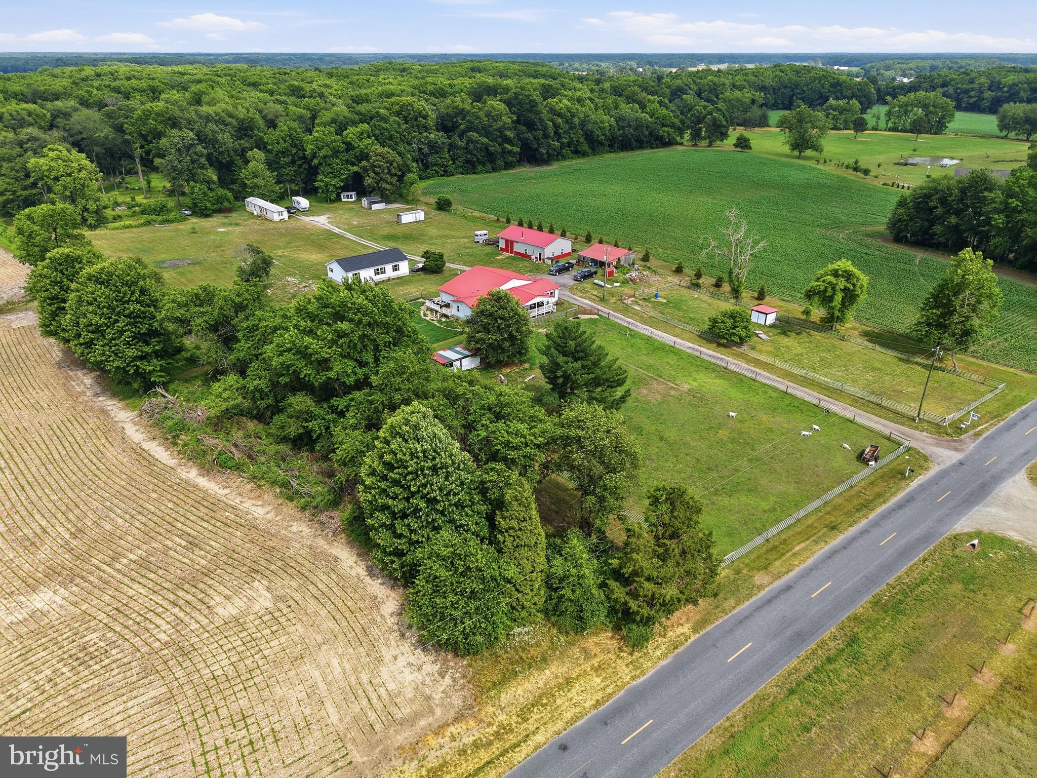 420 Duhamel Corner Road Marydel, MD 21649 - Photo 20 of 90