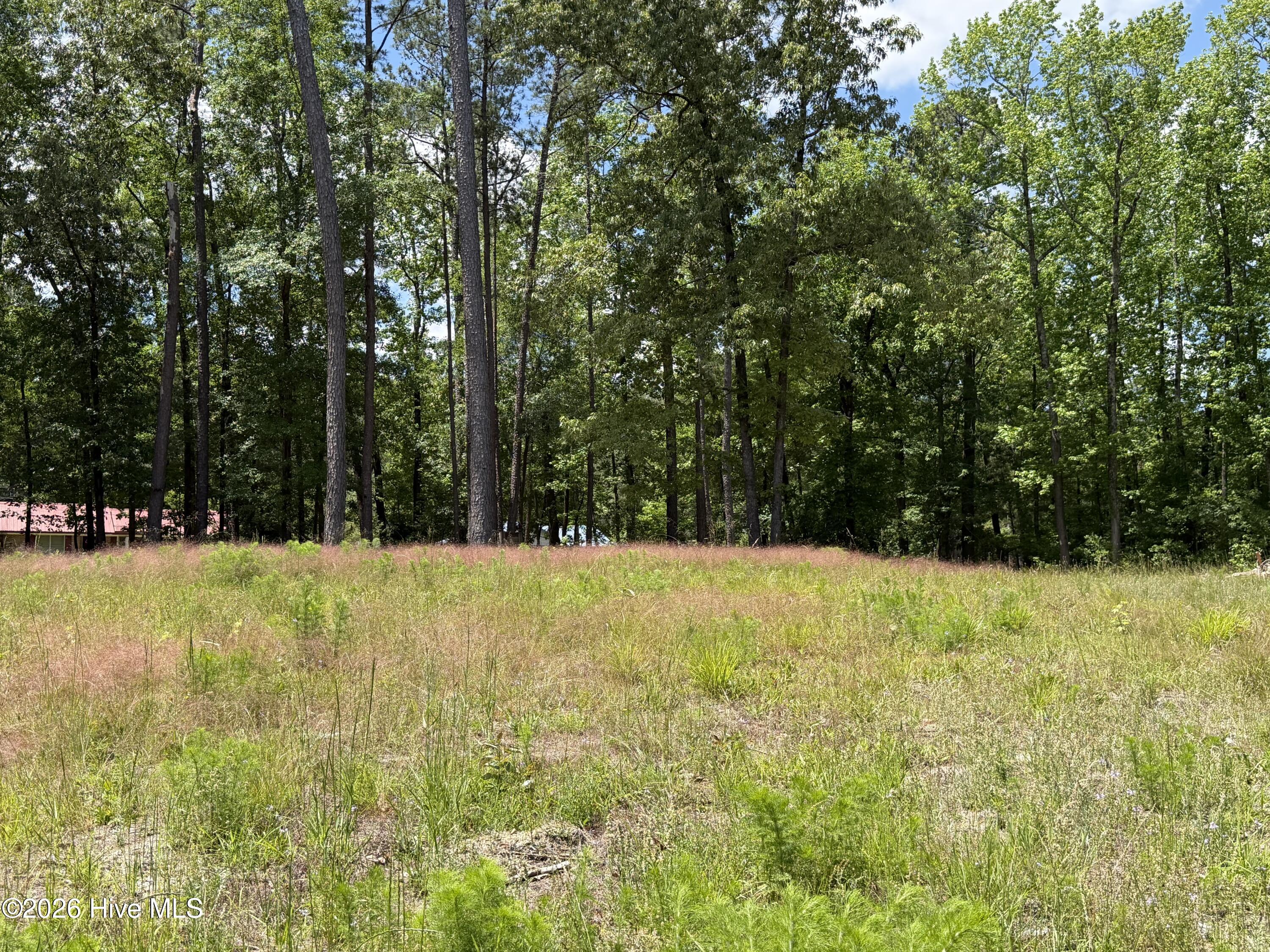 979 Aiken Road Vass, NC 28394 - Photo 15 of 26 979 Aiken Rd 15