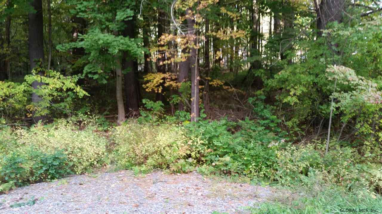 0 Mann Road Ballston Spa, NY 12020 - Photo 1 of 3 Photo 1