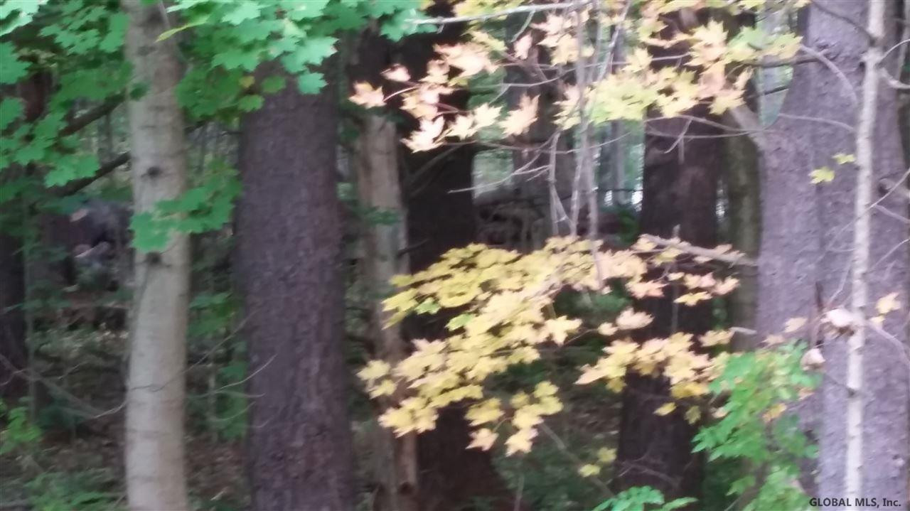0 Mann Road Ballston Spa, NY 12020 - Photo 3 of 3 Photo 3