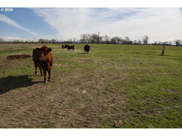 $850,000 | 68499 Kunze Lane, Boardman, OR 97818