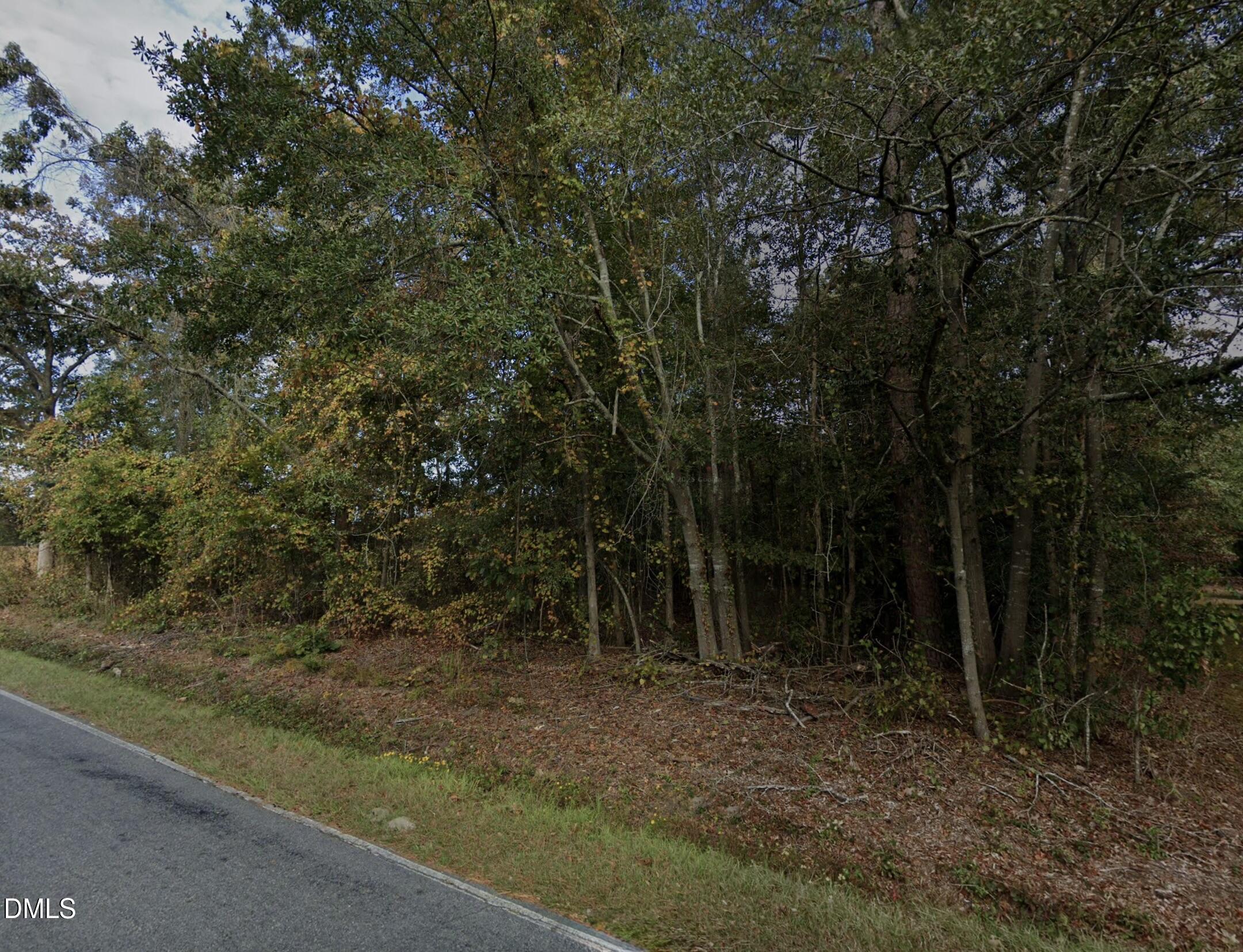 0 Radford Road Princeton, NC 27569 - Photo 2 of 3 a view of a forest