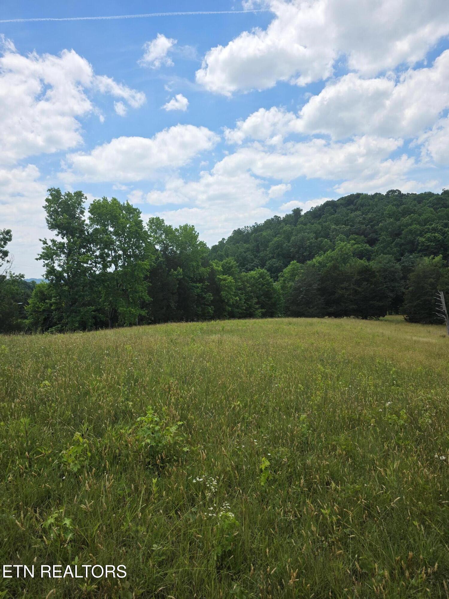 8050 Lett Road Corryton, TN 37721 - Photo 11 of 30 Pasrure