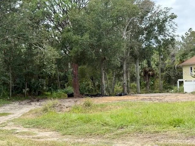 a view of a backyard