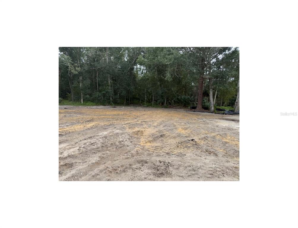 2794 South Ridgewood Avenue Edgewater, FL 32141 - Photo 7 of 10 a view of a backyard