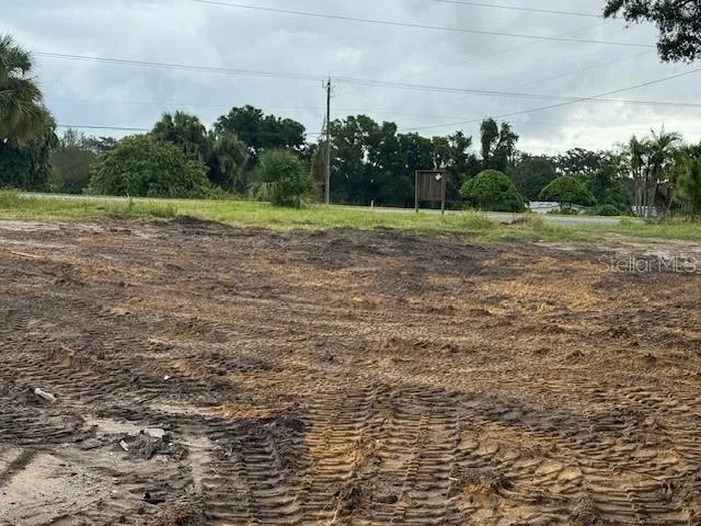 a view of a backyard with trees