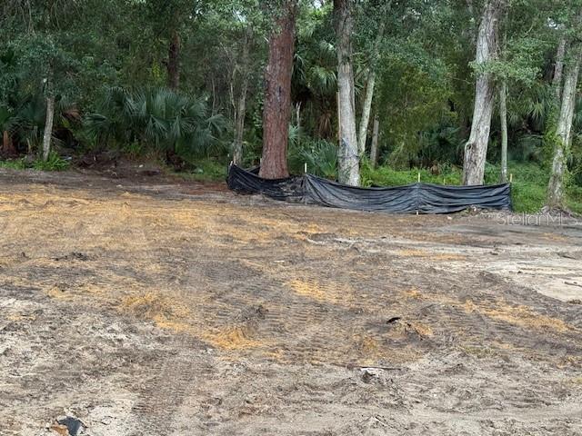 2794 South Ridgewood Avenue Edgewater, FL 32141 - Photo 9 of 10 a view of a backyard with trees