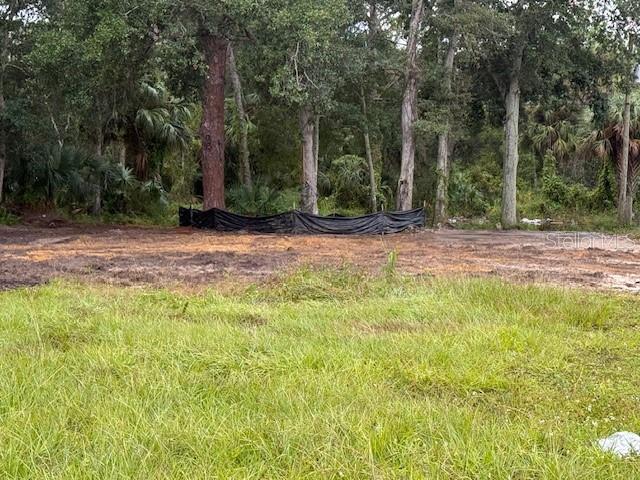 2794 South Ridgewood Avenue Edgewater, FL 32141 - Photo 10 of 10 a view of backyard with green space