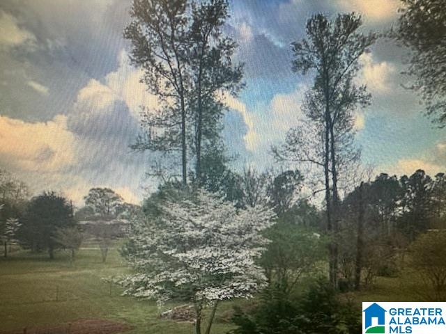 6200 Lupre Circle McCalla, AL 35111 - Photo 22 of 30