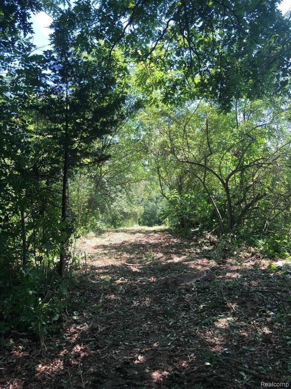 3-acres Taylor Lake Road Holly, MI 48442 - Photo 10 of 11 Gallery Image 10