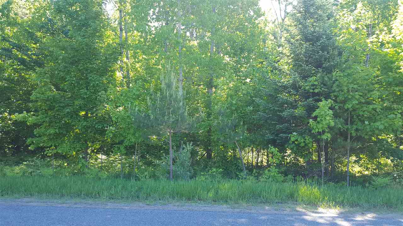 Eckhardt Road Bellaire, MI 49615 - Photo 1 of 6 1812373.JPG
