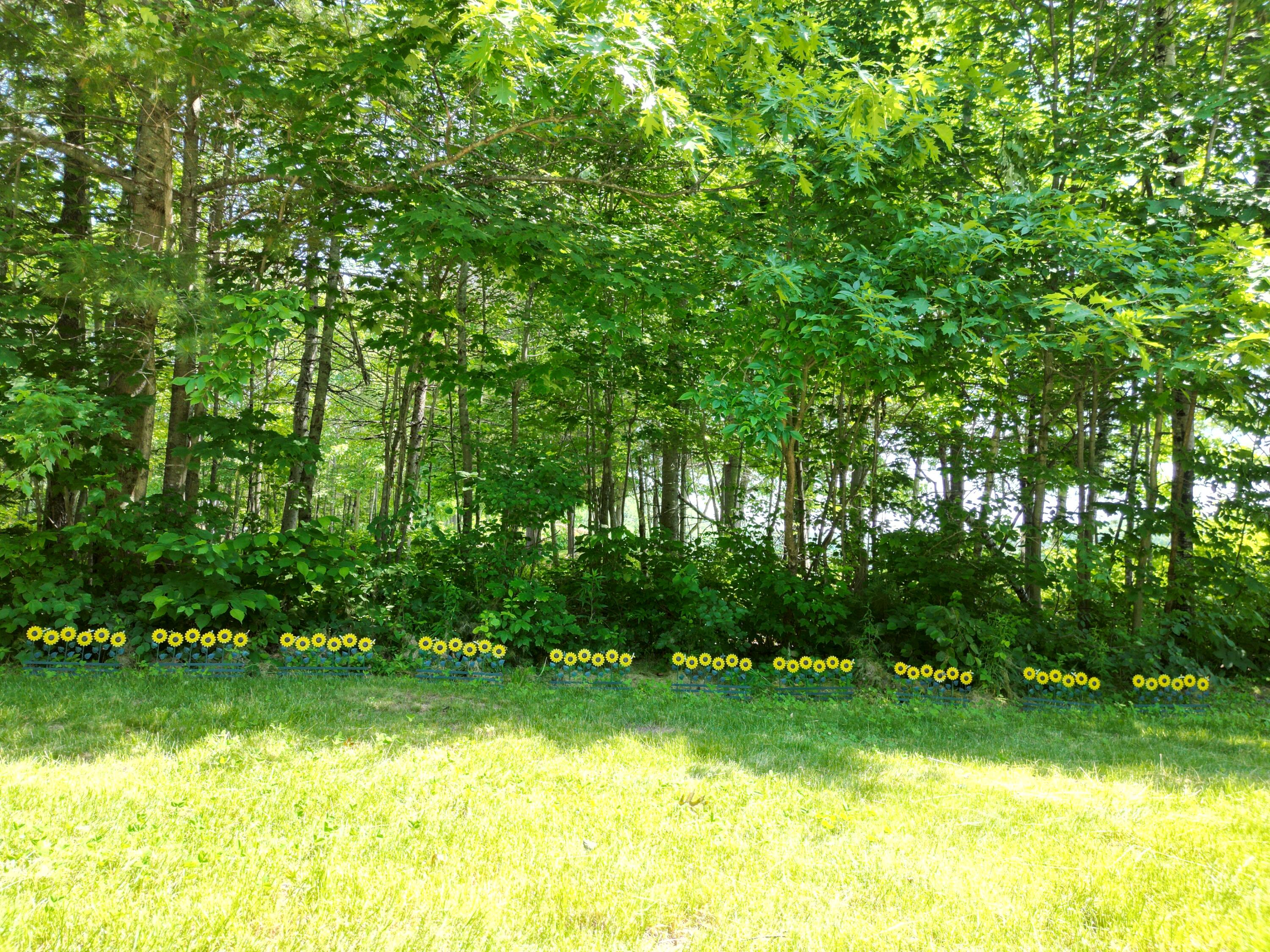 1093 North Chester Road Lincoln, ME 04457 - Photo 59 of 63 DJI_0412