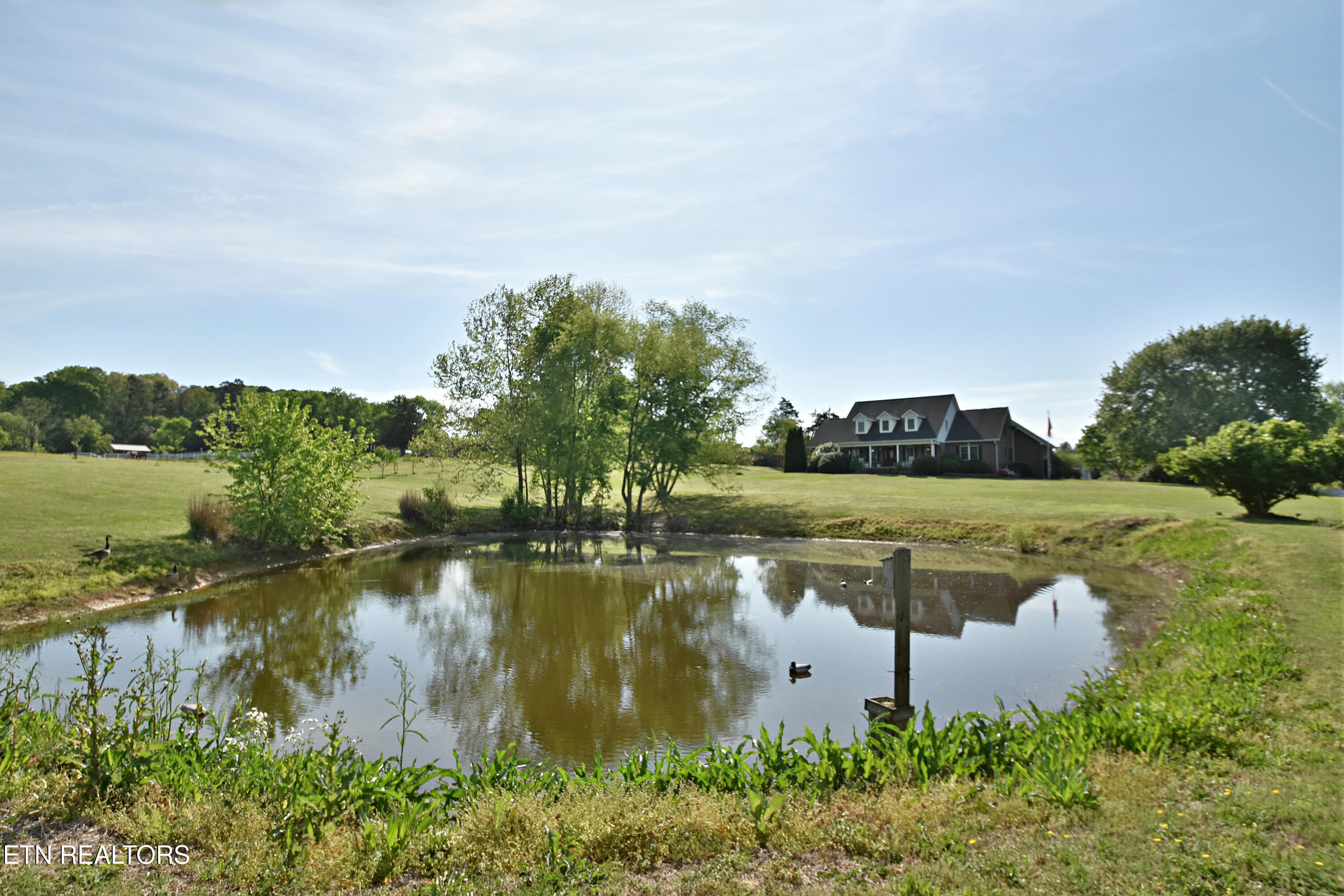 5429 Pryor Road Maryville, TN 37804 - Photo 4 of 59 DSC_1491