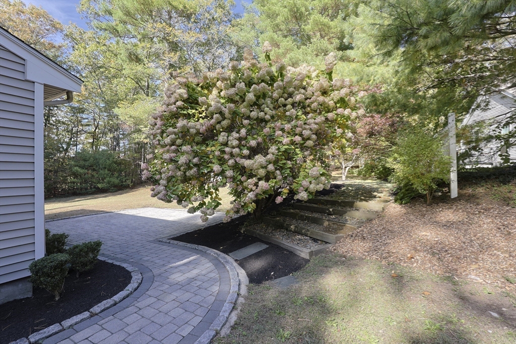 28 Forest Road Millis, MA 02054 - Photo 15 of 23 a view of backyard with green space