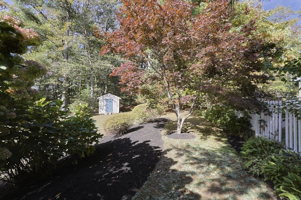 28 Forest Road Millis, MA 02054 - Photo 17 of 23 a picture of trees with some trees