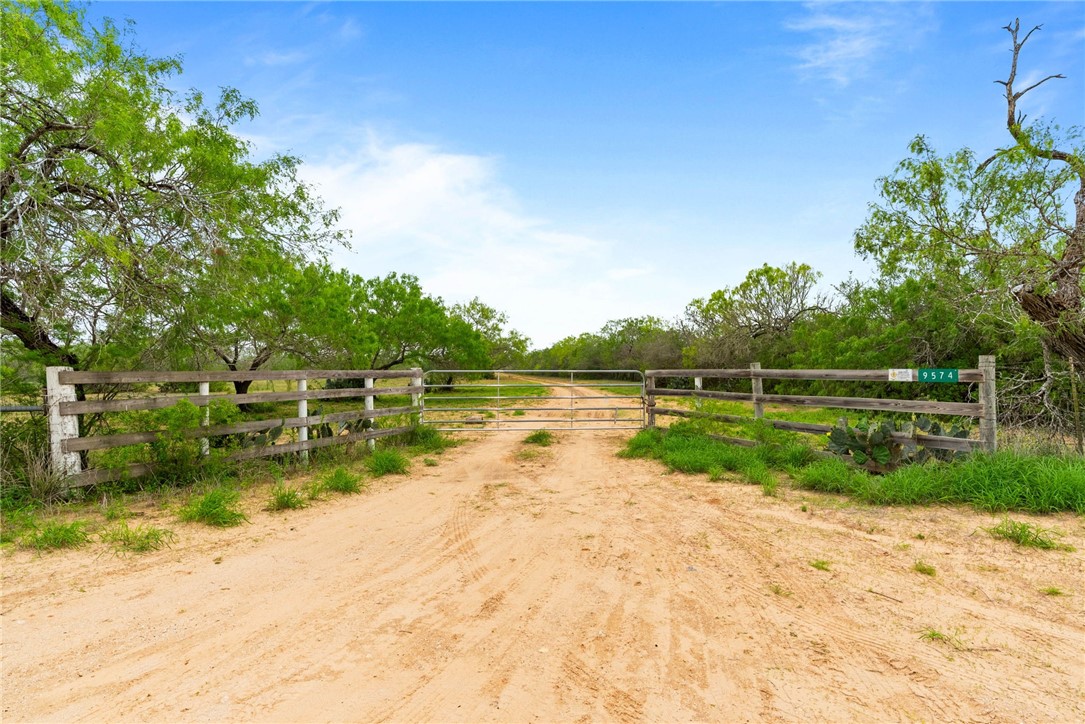9574 County Road 245 Concepcion, TX 78349 - Photo 14 of 29