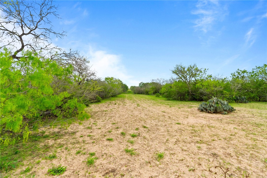 9574 County Road 245 Concepcion, TX 78349 - Photo 15 of 29
