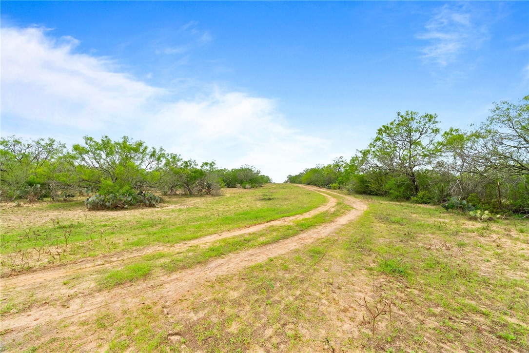 9574 County Road 245 Concepcion, TX 78349 - Photo 17 of 29 a view of an ocean and beach