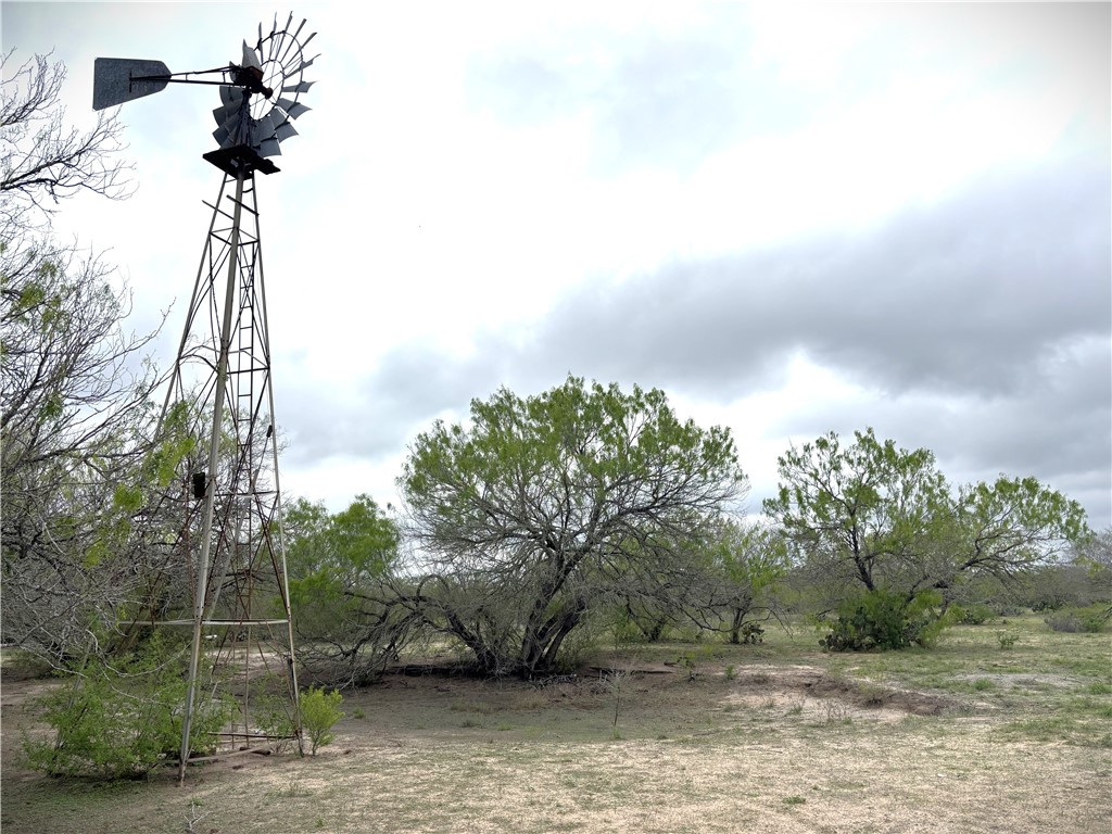 9574 County Road 245 Concepcion, TX 78349 - Photo 20 of 29 a view of a yard with plants