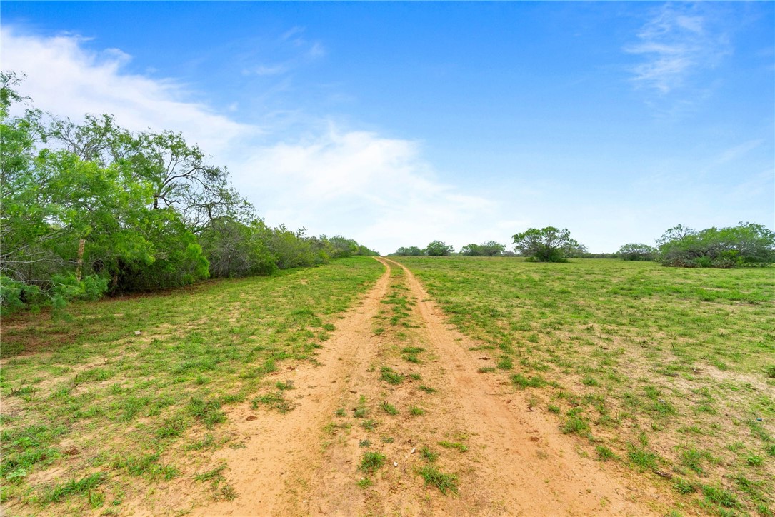 9574 County Road 245 Concepcion, TX 78349 - Photo 20 of 29
