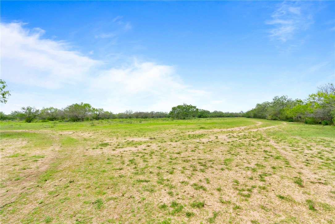 9574 County Road 245 Concepcion, TX 78349 - Photo 23 of 29