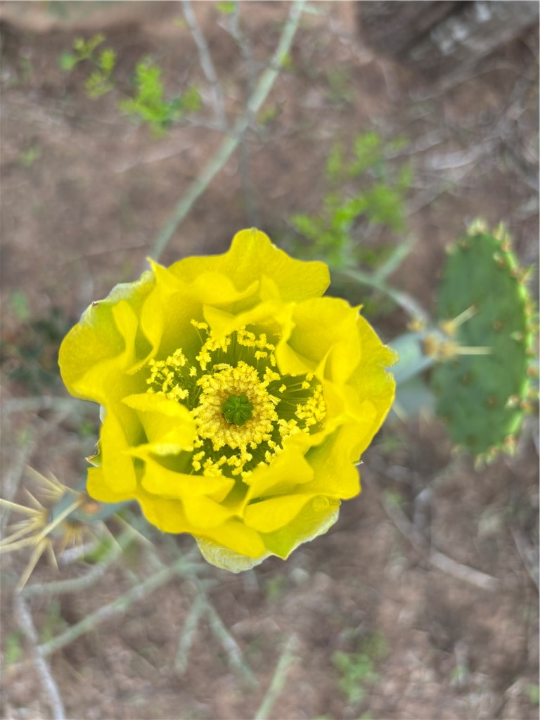 9574 County Road 245 Concepcion, TX 78349 - Photo 24 of 29