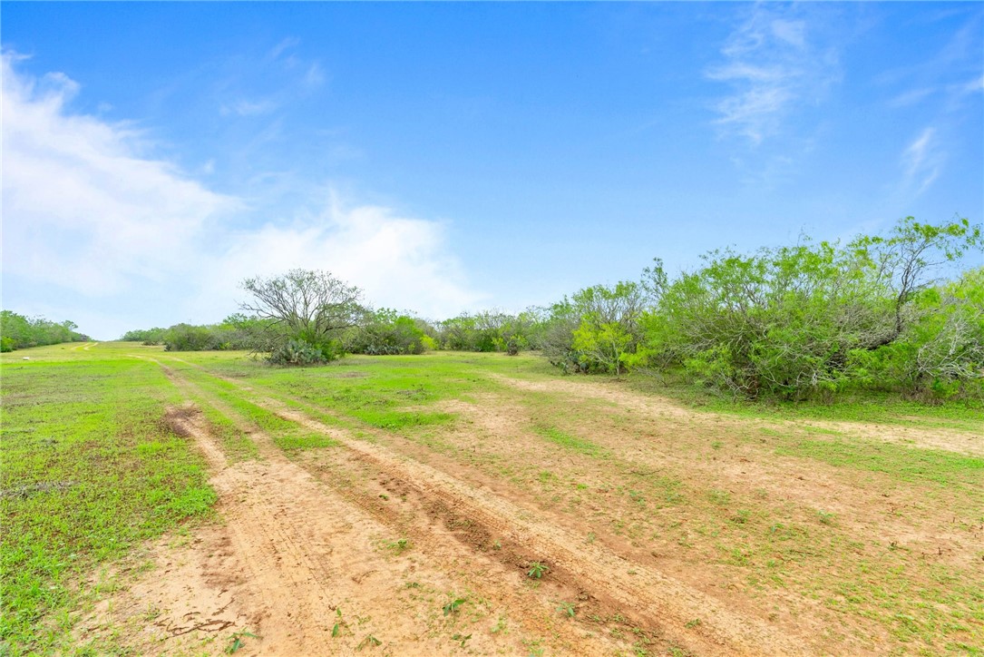 9574 County Road 245 Concepcion, TX 78349 - Photo 24 of 29 a view of a field with grass and trees