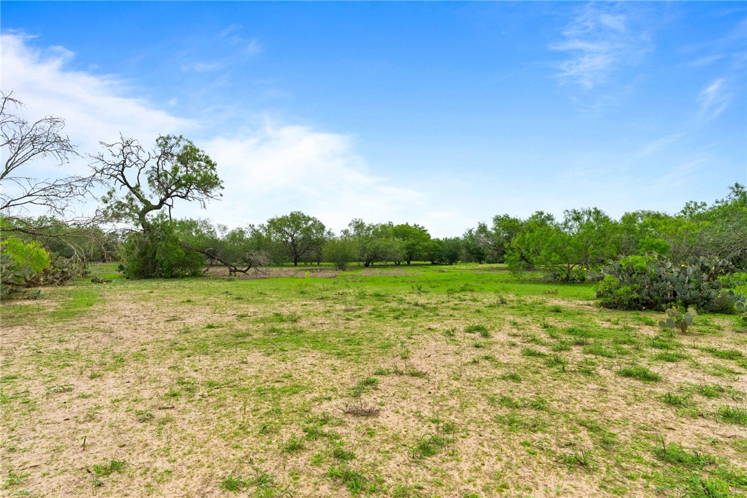 9574 County Road 245 Concepcion, TX 78349 - Photo 26 of 29 a view of field with trees in background