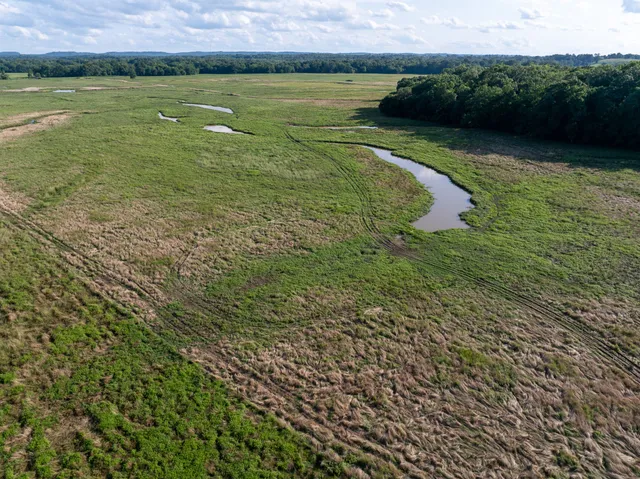 a view of a lake with a city